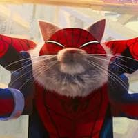 Spider-Cat MBTI Personality Type image