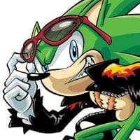 Scourge the Hedgehog MBTI Personality Type image