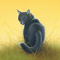 Cinderpelt MBTI Personality Type image