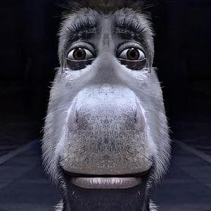 profile_Donkey