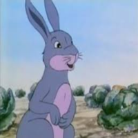 Rabbit type de personnalité MBTI image
