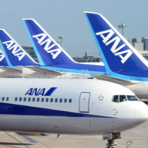 All Nippon Airways MBTI性格类型 image