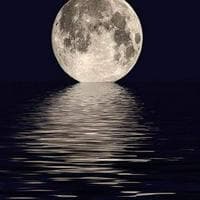 Moonlight tipe kepribadian MBTI image