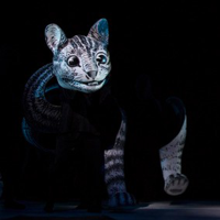 The Cheshire Cat MBTI Personality Type image