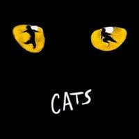 Cats MBTI -Persönlichkeitstyp image
