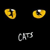 Cats MBTI性格类型 image