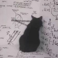 Schrödinger's cat mbti kişilik türü image