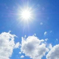 Sunshine mbti kişilik türü image