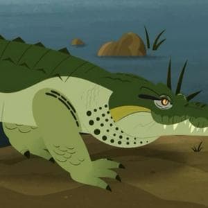 profile_Crocodilla