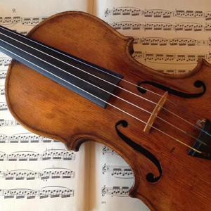 profile_Violin