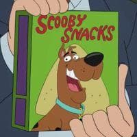 Scooby Snacks tipo de personalidade mbti image