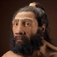 Neanderthal tipo di personalità MBTI image