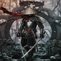 Samurai tipo de personalidade mbti image