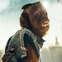 Monkey "Drug dealer" tipo de personalidade mbti image