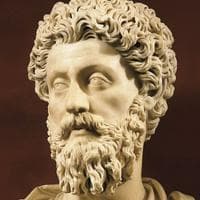 Marcus Aurelius MBTI Personality Type image