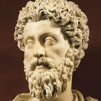 Marcus Aurelius MBTI 성격 유형 image