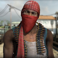 profile_Pirate | Terrorists