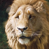 Aslan tipo di personalità MBTI image