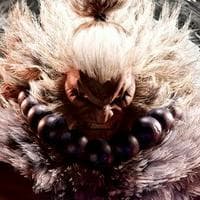 Akuma / Gouki MBTI 성격 유형 image