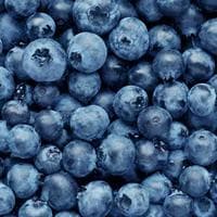 Blueberry tipo de personalidade mbti image