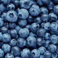 Blueberry MBTI Personality Type image