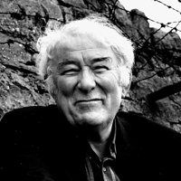 Seamus Heaney tipo di personalità MBTI image