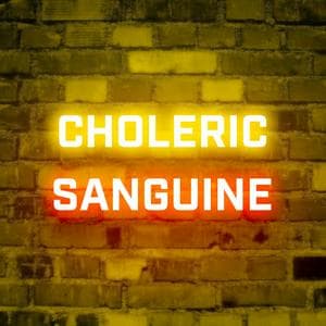 profile_Choleric-Sanguine (CholSan)