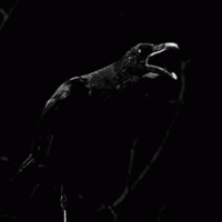 The Crow tipo de personalidade mbti image