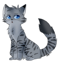 profile_Stripes