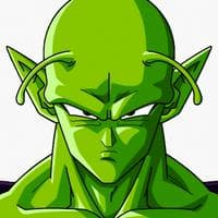 profile_Piccolo Jr. (The Nameless Namekian)