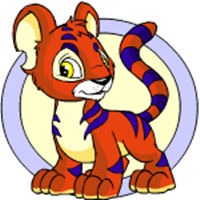 Kougra MBTI性格类型 image