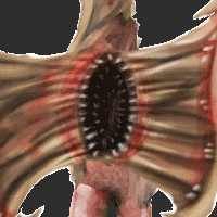 Specimen 10 MBTI 성격 유형 image