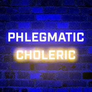 profile_Phlegmatic-Choleric (PhlegChol)