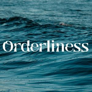 profile_Orderliness