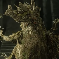 Treebeard tipe kepribadian MBTI image