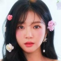 Haein (LABOUM) mbtiパーソナリティタイプ image