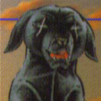 profile_Bat