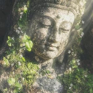 profile_Siddhārtha Gautama / Buddha