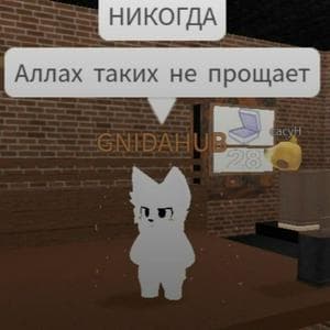 profile_павел дуров
