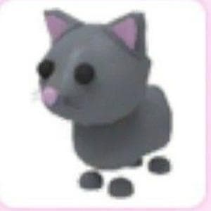 profile_Cat