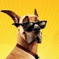 Marmaduke نوع شخصية MBTI image