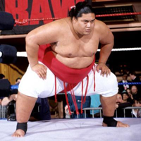 Yokozuna type de personnalité MBTI image