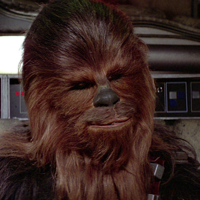 Chewbacca mbti kişilik türü image