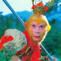 profile_Sun Wukong, Monkey King, Monkey