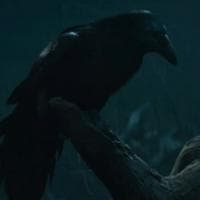 (Salem Seven) Crow MBTI性格类型 image