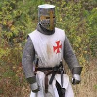 Templar/Crusader Knight Outfit tipe kepribadian MBTI image