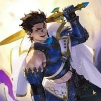 Lancer (Diarmuid Ua Duibhne Saber) tipe kepribadian MBTI image