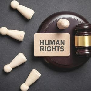 profile_human rights attorney