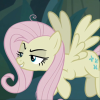 profile_Mean Fluttershy