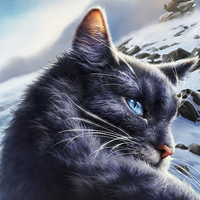 profile_Crowfeather